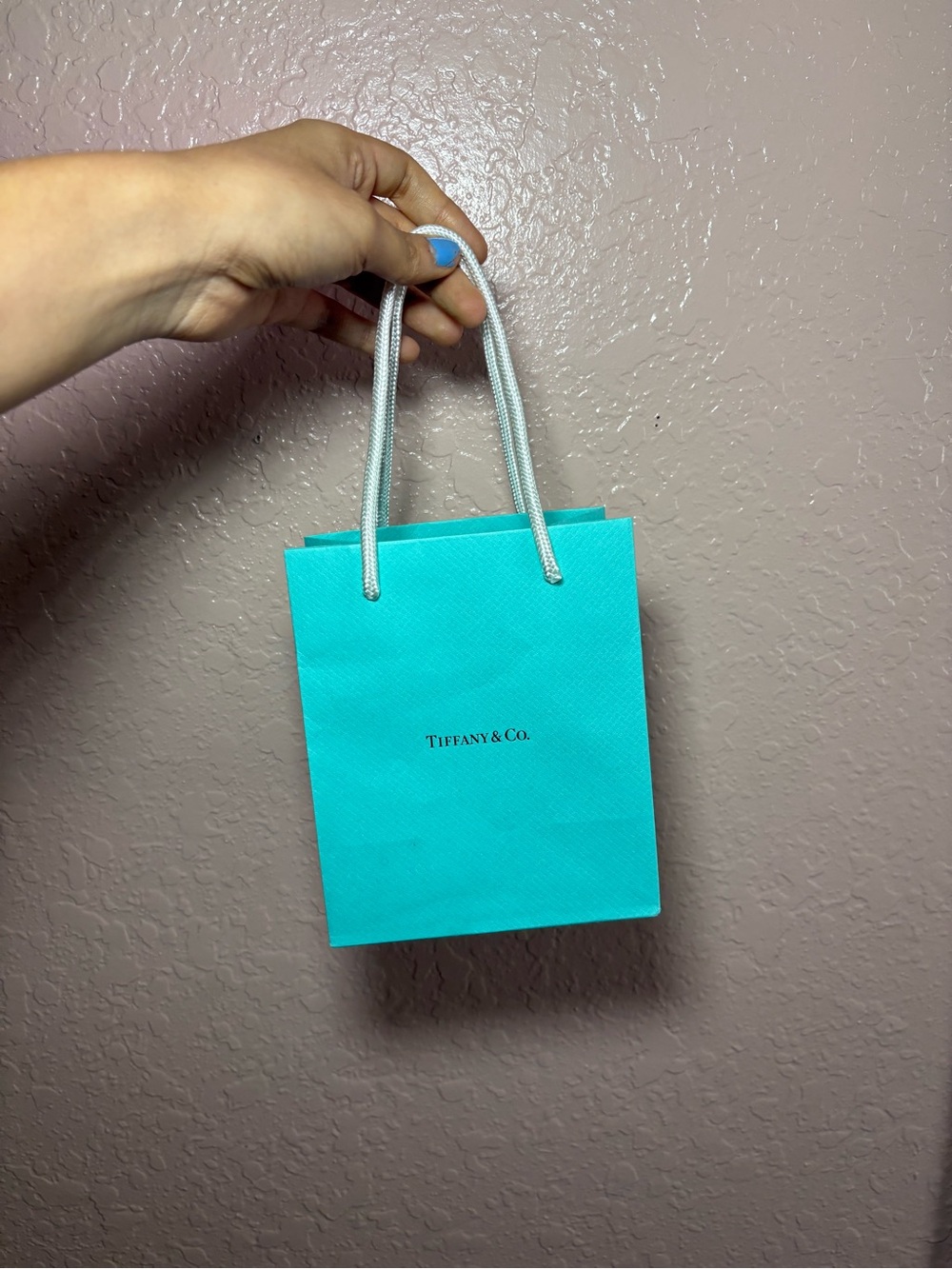 Tiffany & Co. Mini shopping Bag in Signature Blue with White Rope Handles